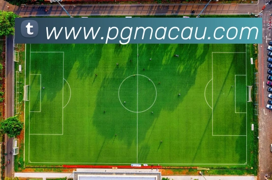 pg电子平台生态图